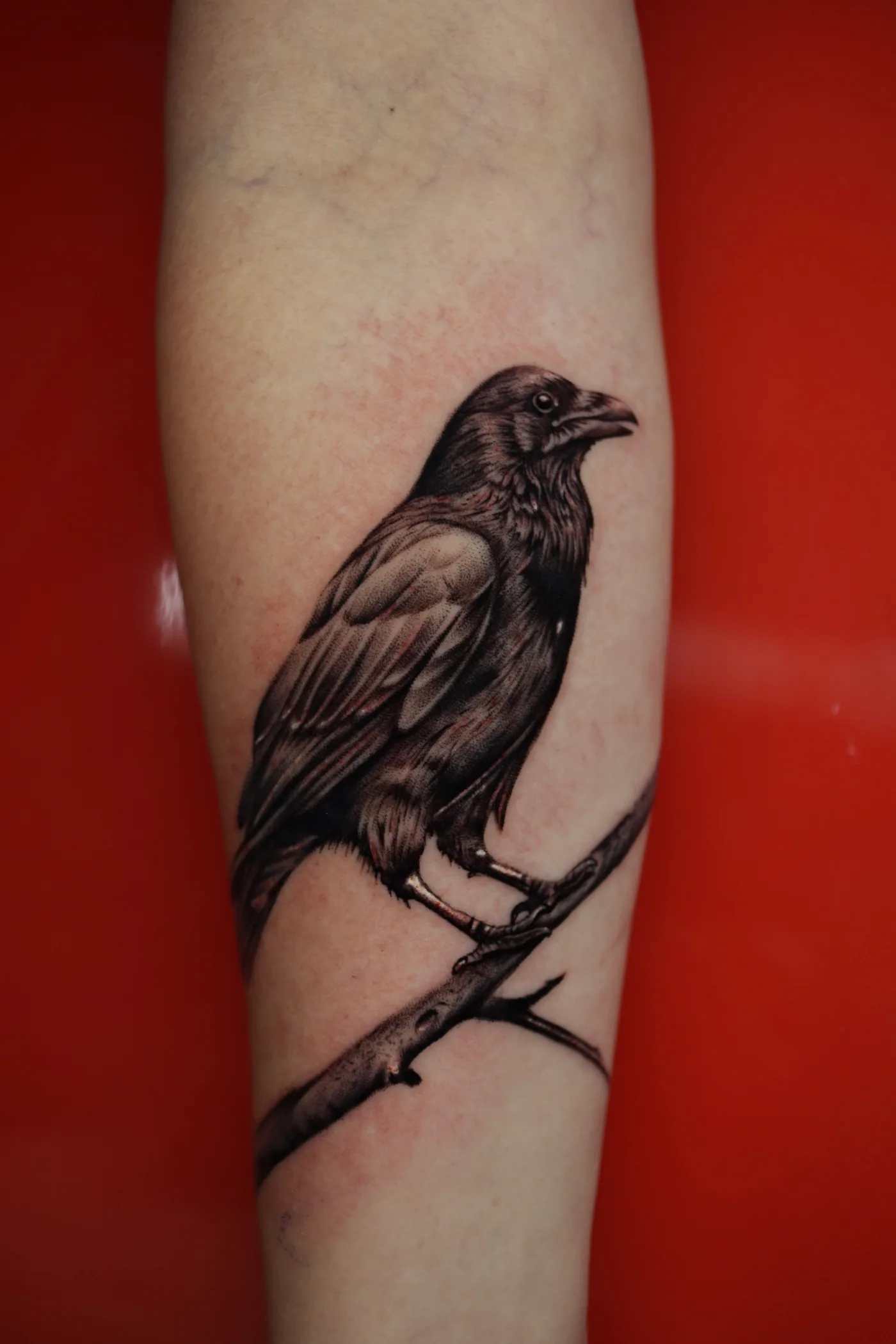 Raven tattoo by Eddie Gonzalez